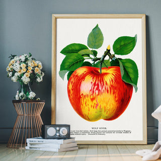 Apple Art - Limited Abode