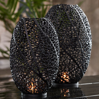 Black Lantern - Limited Abode