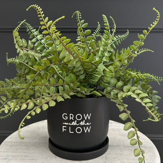 Black Plant Pot - Limited Abode