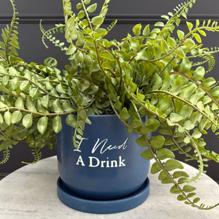 Blue Plant Pot
