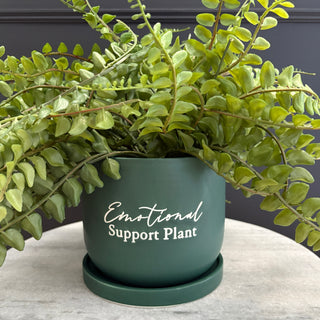 Ceramic Plant Pot