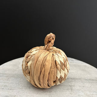 Medium Pumpkin - Limited Abode