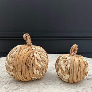 Medium Pumpkin - Limited Abode