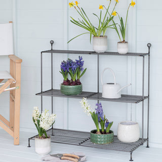 Metal Plant Stand