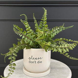Monochrome Plant Pot - Limited Abode