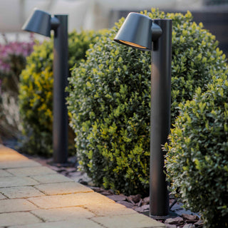 Path Light - Limited Abode