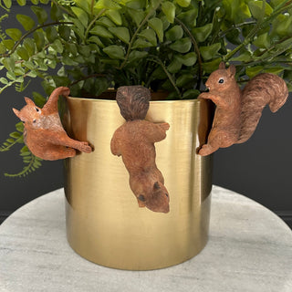 Squirrel Plant Pot Hangers (Set of 3) - Limited Abode