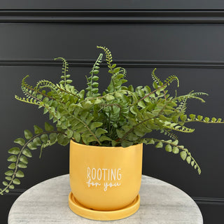 Yellow Plant Pot - Limited Abode