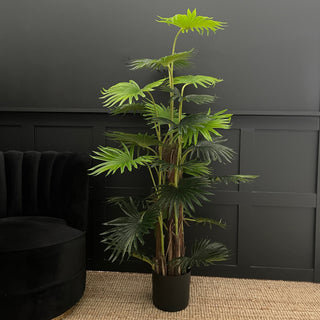 Faux Fan Palm Plant - Limited Abode