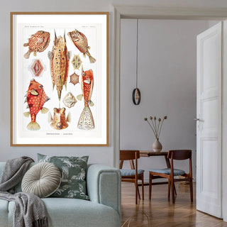 Fish Art - Limited Abode