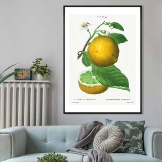 Food Art - Limited Abode