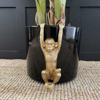 Gold Monkey Plant Pot Hanger - Limited Abode