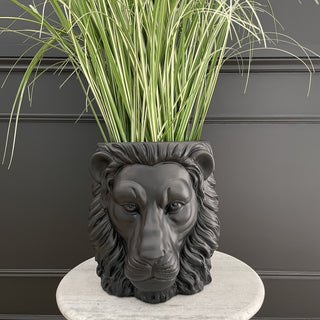 Large Black Lion Planter - Limited Abode