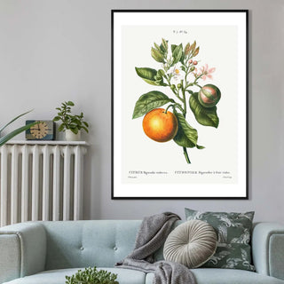 Orange Print - Limited Abode